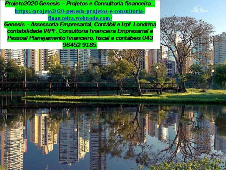 Gleba Fazenda Palhano - Londrina Auditoria - Contabilidade Auditoria I