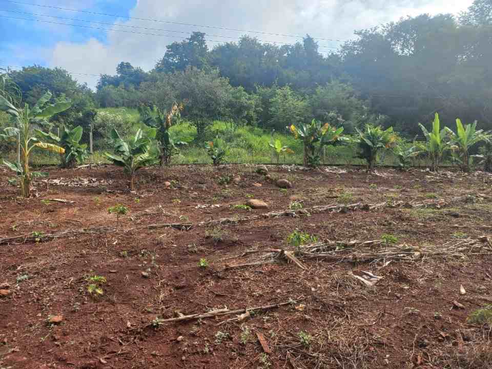 Chácara de 5.130 MT com Casa na Estrada da Cegonha