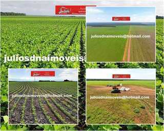 Fazenda no Mato Grosso c/ 15 Anos para Pagar área 6.300 Ha Grãos