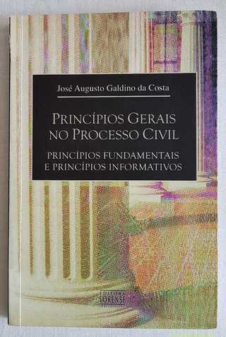 Princípios Gerais no Processo Civil - Princípios Fundamentais e Princí
