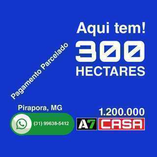 Vende 300 Hectares (420 Km de Belo Horizonte), Região de Pirapora, MG