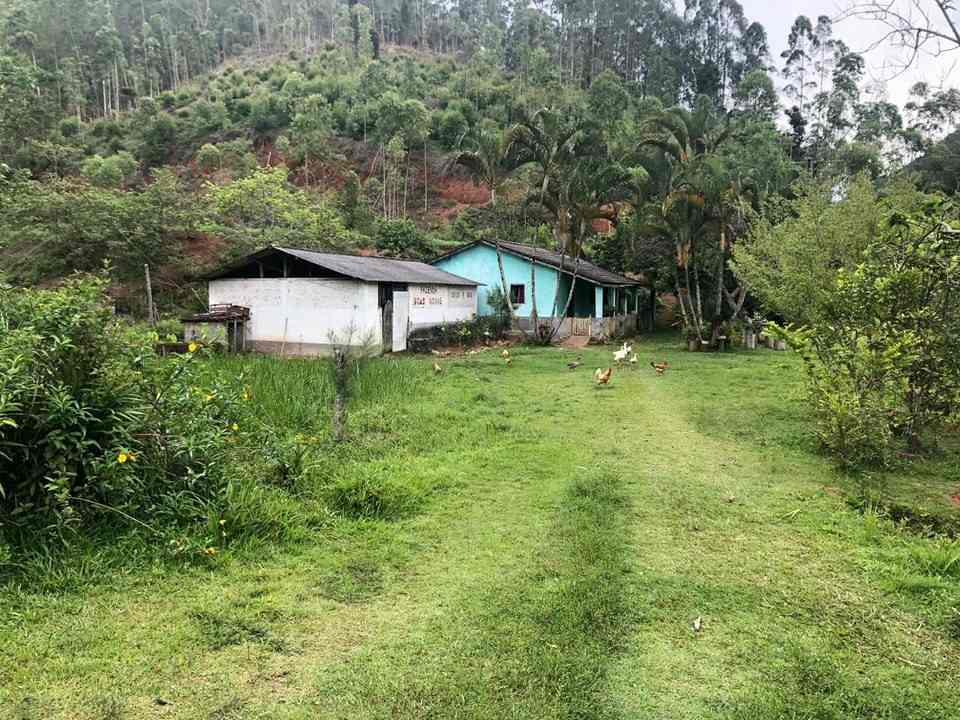 Fazenda Santa Maria Madalena - PontoNet Desapega