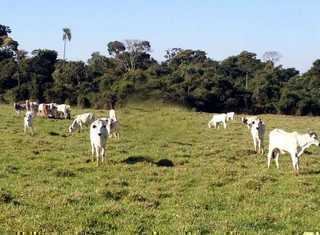 Fazenda à Venda na Região de Marília SP