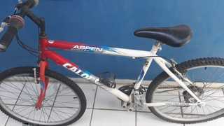 Bicicleta Aspen 21v