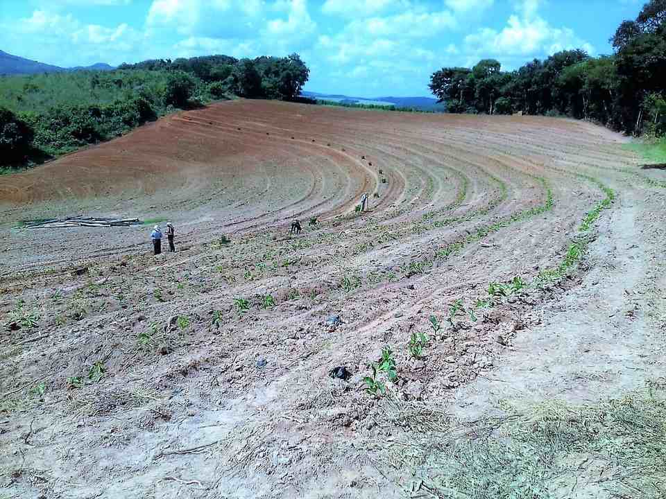 Fazenda à Venda, 239 Hectares, R$ 30 Milhões em Três Corações MG