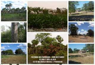 Fazenda 500 Hectares – Paraguai