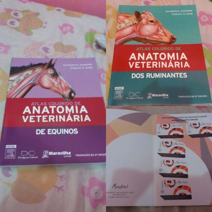 Livros de Medicina Veterinaria - Desapega