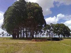 Fazenda com 3.500 Hectares água Fria , Estado de Goiás com 1100 Alti