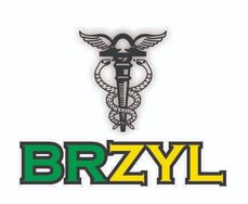 Brzyl Contabilidade