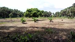 Vendo Terreno na área Urbana de Santarém - Pará, Bairro Santo Andre, á