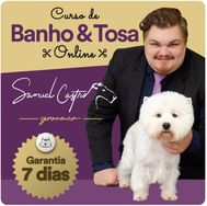 Curso de Banho e Tosa