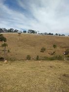 Terrenos em Terra Preta