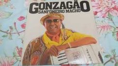 Fotos Similares: Luiz Gonzaga - Lp Vinil - 1985 