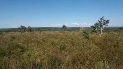 Vendo Fazenda 2400 Hectares