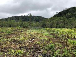 Terreno com 5 Mil de Entrada à Vend em Mongaguá