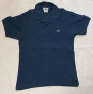 Camisa Polo Masculina (lacoste, Pool)