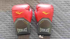 Luvas Everlast Pro Style Elite 14oz