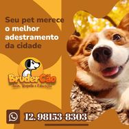 Adestramento- Hospedagem - Petsitter