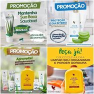 Suco Aloe Vera - Produtos Naturais - Forever Living