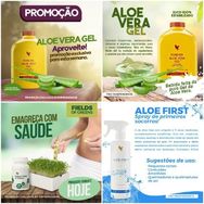 Saúde e Boa Forma com Forever Living