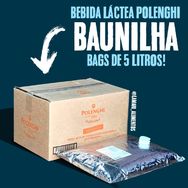 Bebida Láctea Baunilha Polenghi