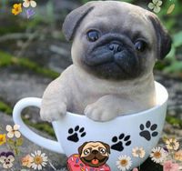 Vende-se Pugs