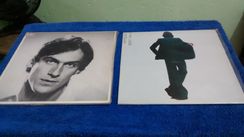 Discos de Vinil James Taylor