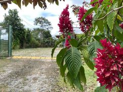 Sítio para Venda, Arujá / SP