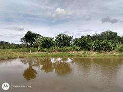 Fazenda em Fortuna de Minas MG -130 Hectares