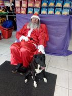 Fotos Similares: Visita do Papai Noel para Petshop 