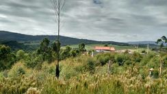 Vendo Terreno em Franco da Rocha 85 Mil Já com Muro