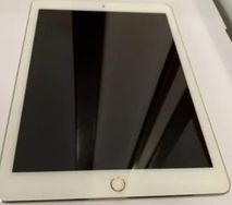 Ipad Gold 128gb