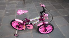 Bicicleta Infantil Feminina