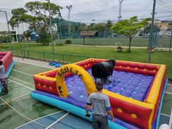 Touro Mecânico para Festas