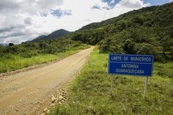 área de Mata Atlântica Situada no Município de Guaraqueçaba/pr