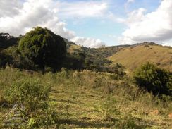 Sítio de 5.9 Alqueires em Cambui-mg