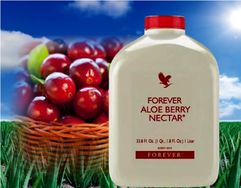 Aloe Vera Forever Living Produto Natural