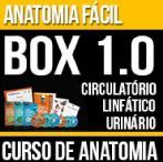 Curso de Anatomia Humana