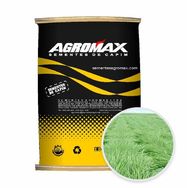 Sementes de Capim Panicum Maximum Massai Peletizada 10 Kg