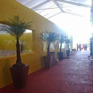 Decoração de Festas e Eventos