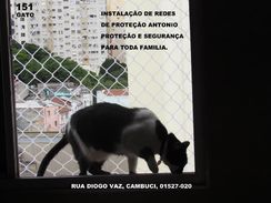 Redes e Telas de Proteção para Gatos,whatsapp