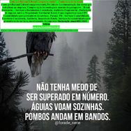 Imposto de Renda/contador/contabilidade para Brasileiros Que Vivem no