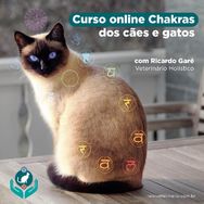 o Chakra dos Cães e Gatos