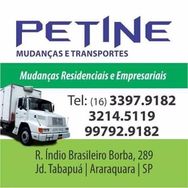 Petine Mudançad e Transportes