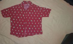 Camisa de Melancia