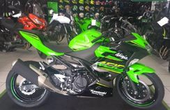 Kawasaki Ninja 300 (ABS) 2018