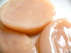 Vendo Scoby para Preparo de Bebida Kombucha