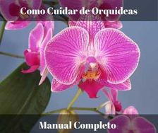 Como Cuidar de Orquídeas Manual Completo