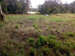 Terreno Escriturado à Venda em Peruíbe