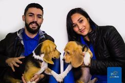 Beagle Filhotinhos com Total Segurança - Janaina